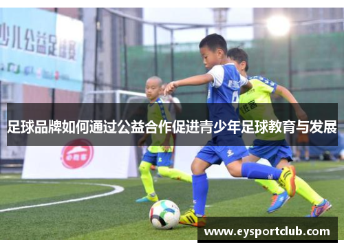 足球品牌如何通过公益合作促进青少年足球教育与发展